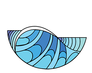 ficsu-ORIGINAL-CMYC