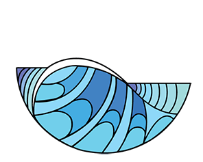 ficsu-ORIGINAL-CMYC-1-1-1-1-1-1.png